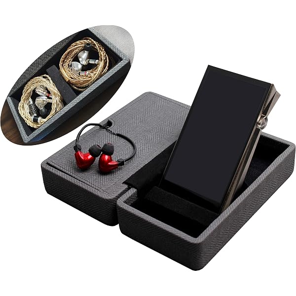 Amazon.co.jp: [Dignis] 『Astell&Kern AK SE300 専用レザーケース